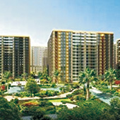 銀海領域 銀海領域